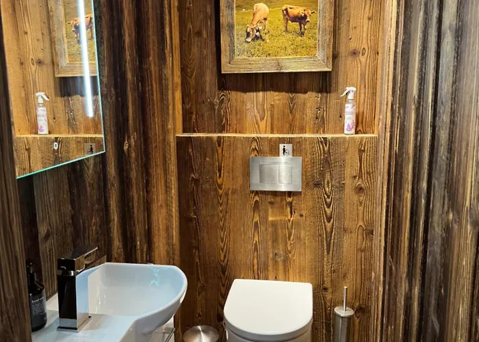 Cozy 克莱恩 蒙塔纳