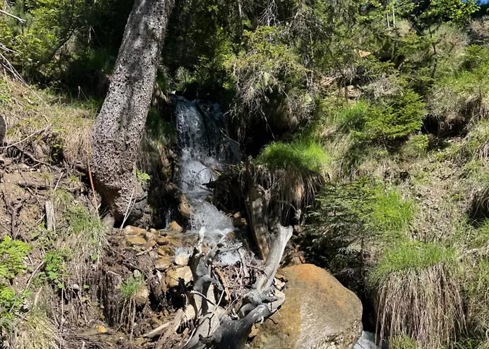 Cozy 克莱恩 蒙塔纳